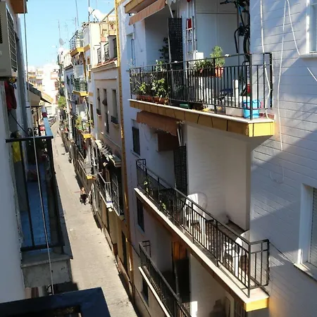Calle Martinez Montanes, 19 Homestay *
